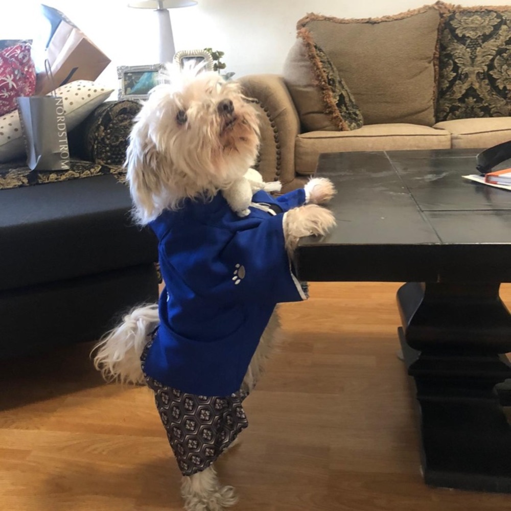 Japanese Dog Kimono - Dog Costume (Japanese Kimono